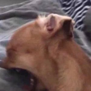 Meet your Posher, Jaden